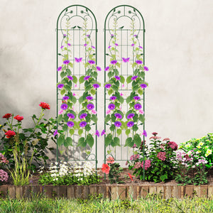 2 Pack 86.5 x 20 Inches Metal Garden Trellis for Climbing Plants-Green