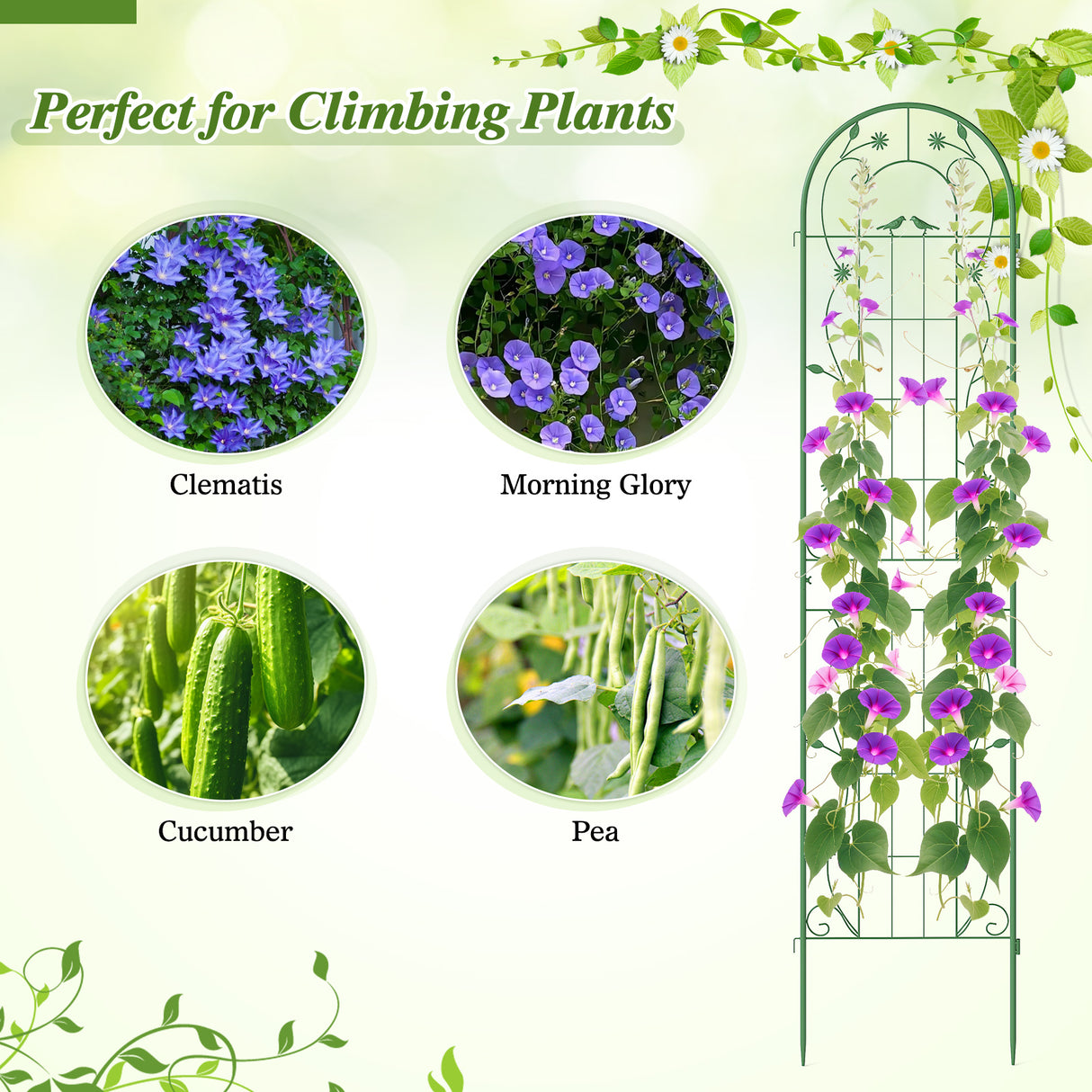 2 Pack 86.5 x 20 Inches Metal Garden Trellis for Climbing Plants-Green