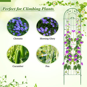 2 Pack 86.5 x 20 Inches Metal Garden Trellis for Climbing Plants-Green