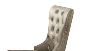 Kacela Synthetic Leather Side Chair Set of 2 - Champagne