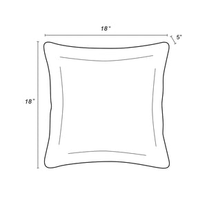 2 Pack Outdoor Throw Pillows (18x18 Inch)