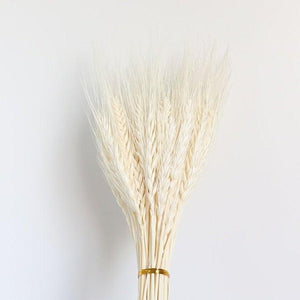 30pcs Natural Dried Pampas Grass Bouquet Pampas Grass Reeds Flowers Bulrush Bouquets Durable For for Vase Artificial Grass Room Décor Wedding Decorations