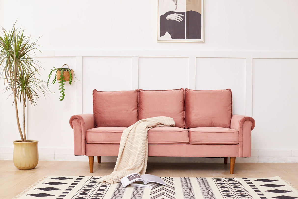 Graceful Design Plush Comfort Sofa by Couch.com