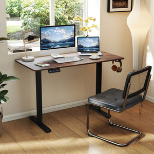 48 Inch x 24 Inch Ergonomic Electric Standing Desk with 3 Memory Settings for Home Office-Rustic Brown