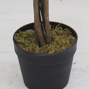 Tall Lifelike Potted Tree