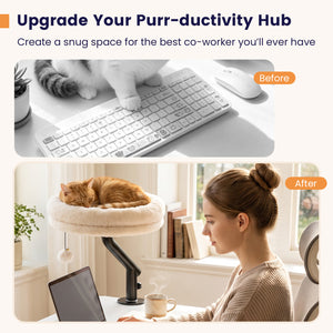 360Â° Rotating Cat Desk Bed for Indoor Cats with Removable Perch-White