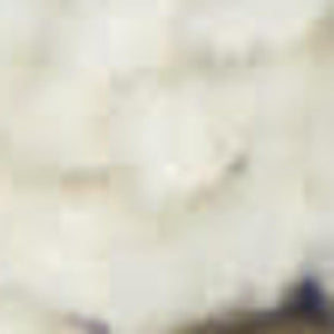 5' X 8' Blue And Gray Floral Indoor Outdoor Area Rug