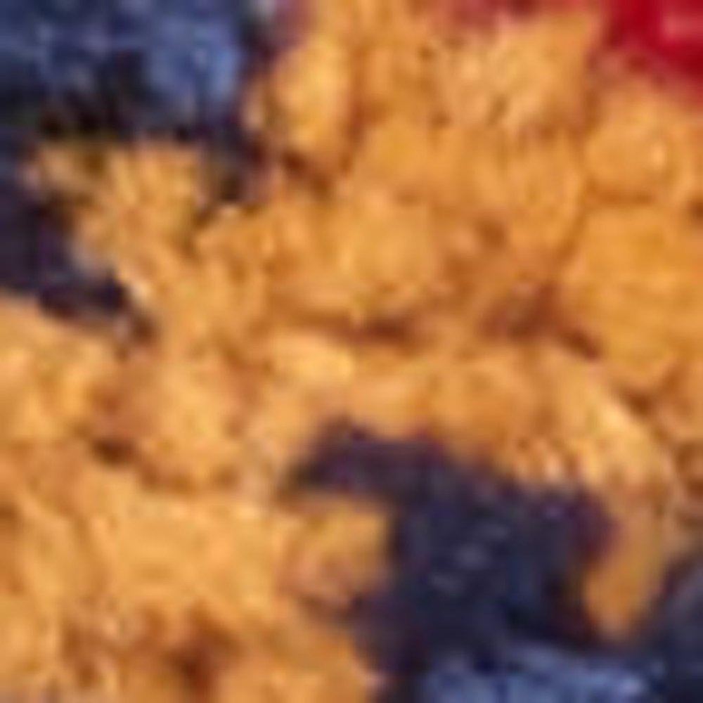 4' X 6' Ivory And Blue Indoor Outdoor Area Rug