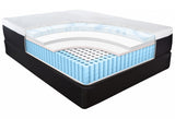 13" Hybrid Pocket Coil Gel Memory Foam Mattress