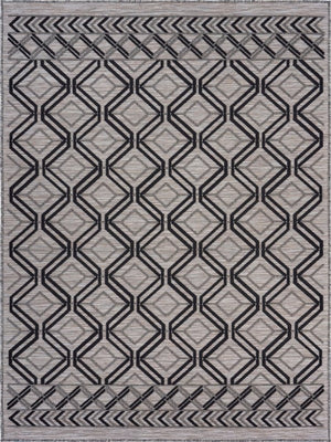8' X 10' Black And Tan Indoor Outdoor Area Rug
