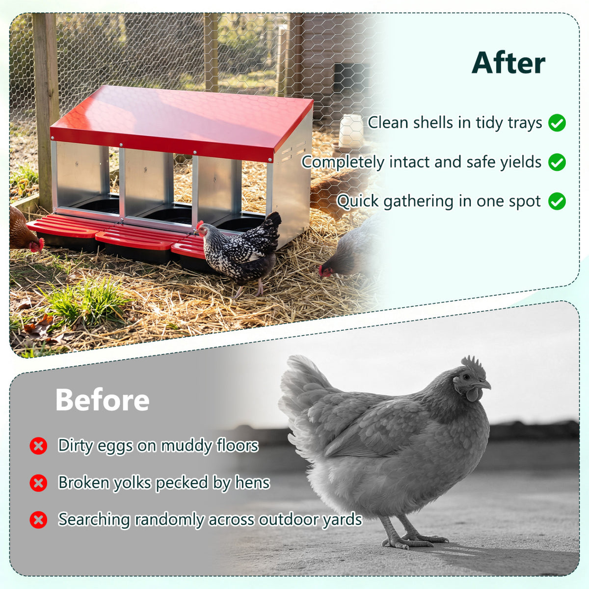 3-Compartment Roll Away Metal Chicken Nesting Box for Hens-Red