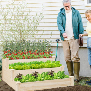 3 Tier Elevated Wooden Vegetable Garden Bed