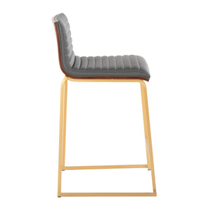 Mason Mara - Contemporary Design Fixed Height Counter Stool (Set of 2) by Couch.com