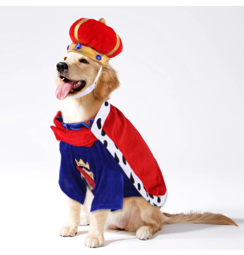 Pet King Cape Accessory Set for Dog