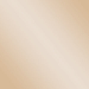 23" Champagne Glass And Iron Square End Table