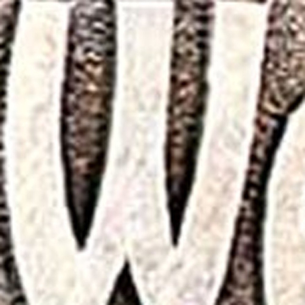 13" X 8" Gray Brown And Cream Bear Welcome Resin Wall Decor