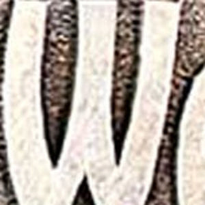 13" X 8" Gray Brown And Cream Bear Welcome Resin Wall Decor