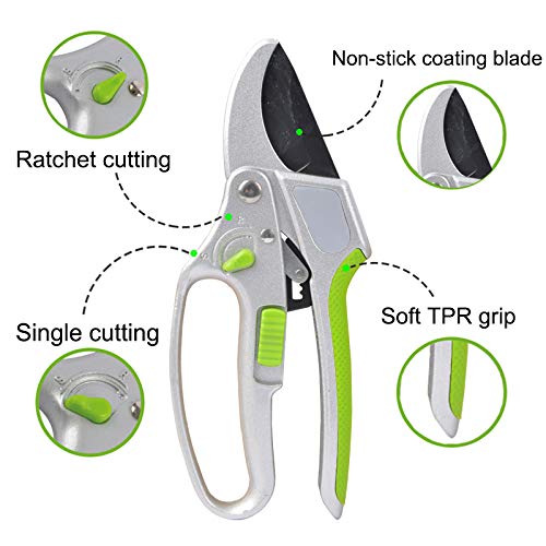 2 in 1 Ratchet Clippers by Garden Guru
