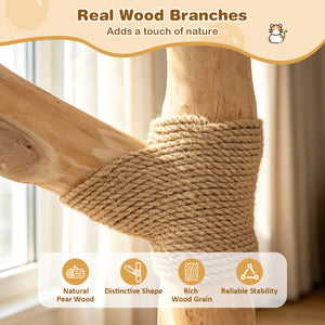 41 Inch Tall Modern Cat Tower with Real Wood Branches  Scratching Posts for Indoor-Beige