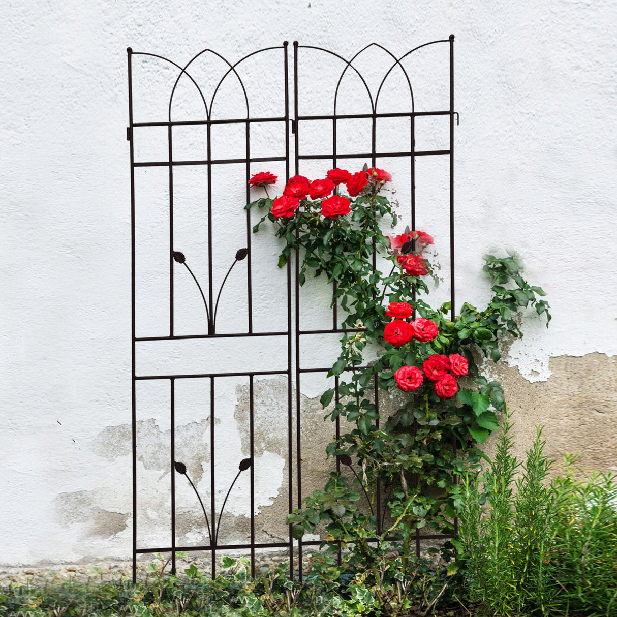 Metal Garden Trellis Rustproof For Climbing Plants Outdoor Flower Support by Couch.com