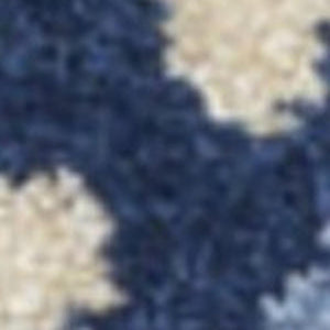 3' X 4' Blue And Gray Indoor Outdoor Area Rug