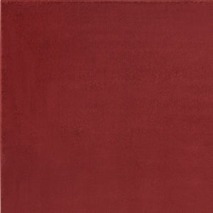 4' X 6' Brick Red Stain Resistant Indoor Outdoor Area Rug