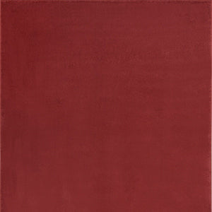 5' X 7' Brick Red Stain Resistant Indoor Outdoor Area Rug