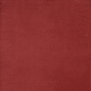 8' X 10' Brick Red Stain Resistant Indoor Outdoor Area Rug