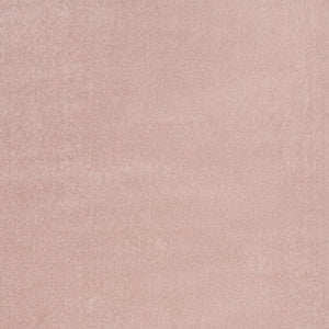 4' X 6' Pink Indoor Outdoor Area Rug