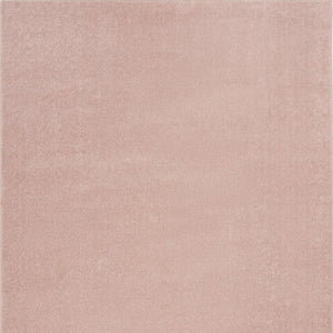 4' X 6' Pink Indoor Outdoor Area Rug