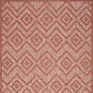 5' X 7' Coral Indoor Outdoor Area Rug