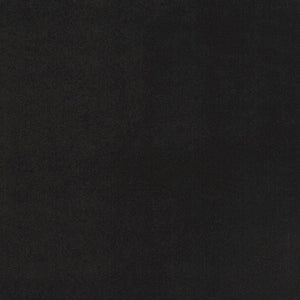 3' X 5' Black Stain Resistant Indoor Outdoor Area Rug