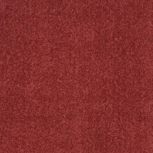 2' X 4' Brick Red Indoor Outdoor Runner Rug