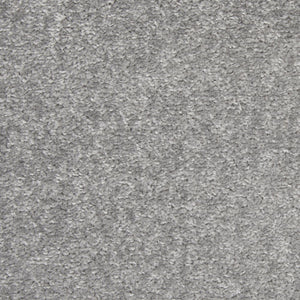 2' X 4' Gray Indoor Outdoor Area Rug