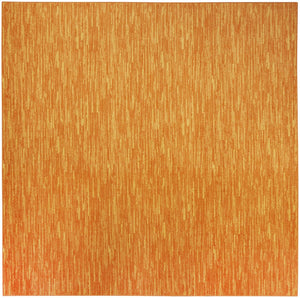 5' X 5' Orange Square Indoor Outdoor Area Rug