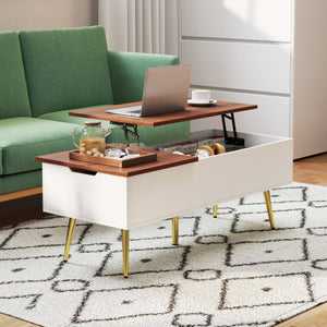 47 Inch Lift Top Coffee Table with 2 Hidden Compartments-Walnut