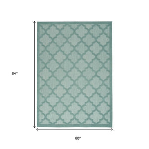5' X 7' Aqua Indoor Outdoor Area Rug