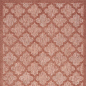 5' X 7' Coral Indoor Outdoor Area Rug