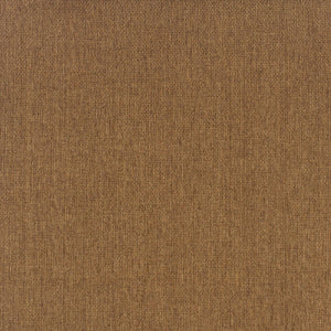 2' X 4' Tan Stain Resistant Indoor Outdoor Area Rug