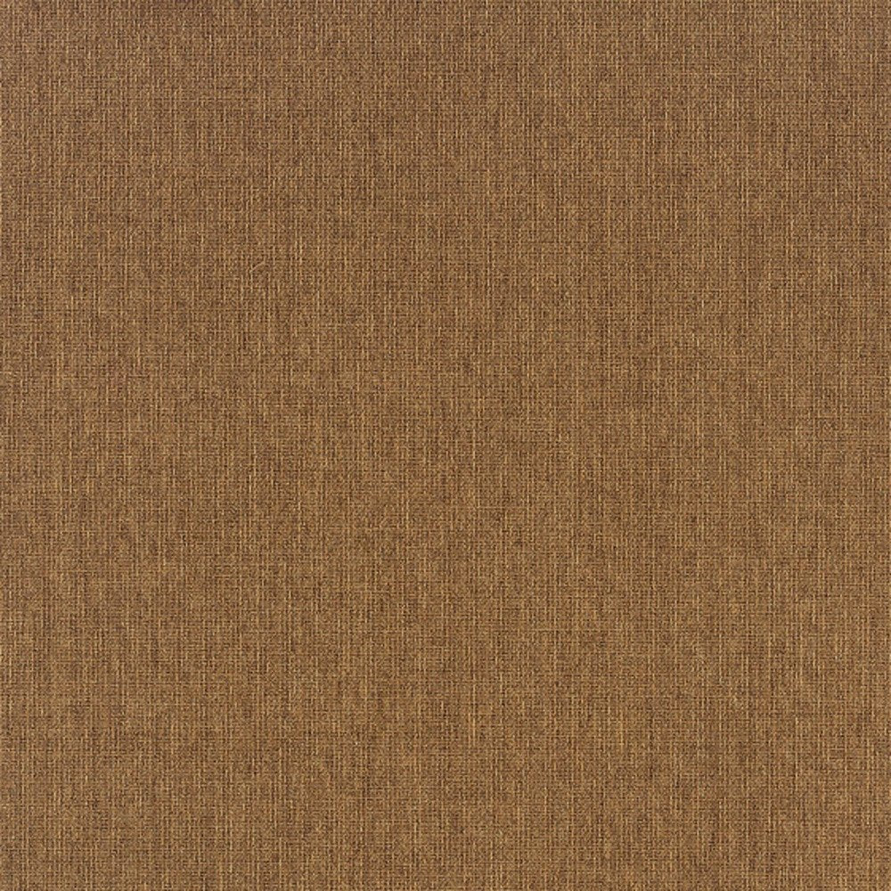 5' X 8' Tan Stain Resistant Indoor Outdoor Area Rug