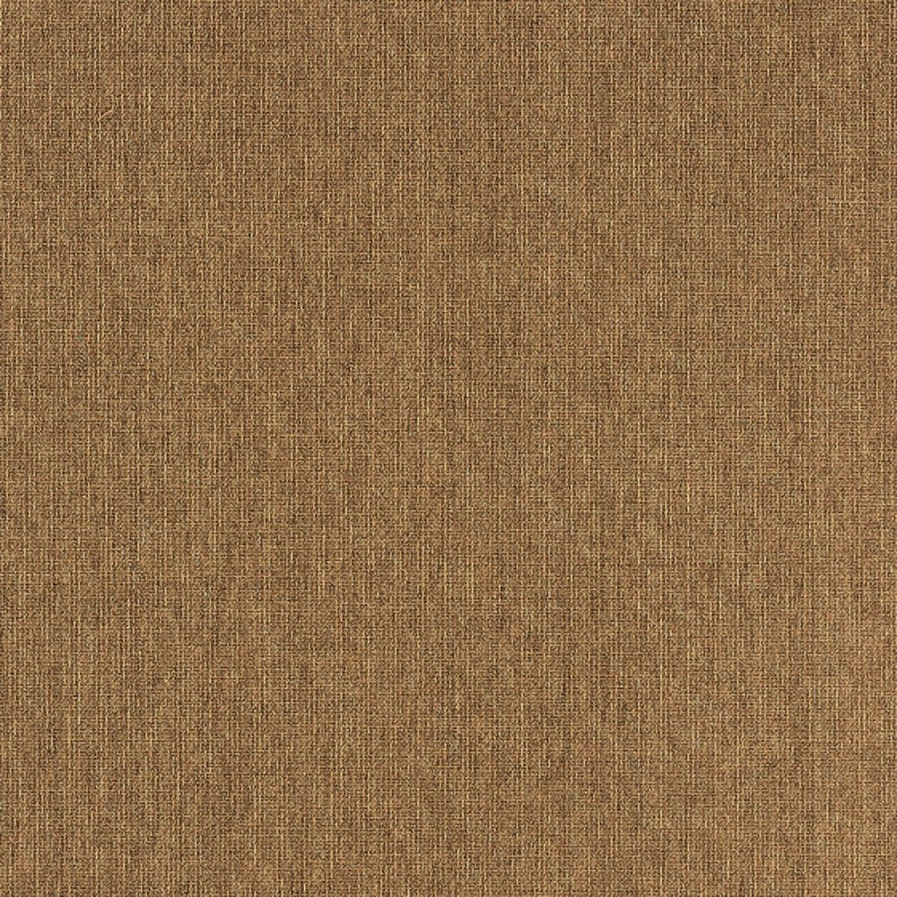 Tan Stain Resistant Indoor Outdoor Area Rug
