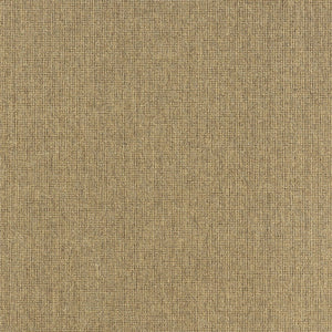 7' X 10' Tan Stain Resistant Indoor Outdoor Area Rug