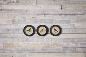 Set of Three Black Bird Circle Framed Art