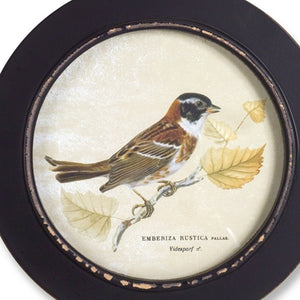 Set of Three Black Bird Circle Framed Art