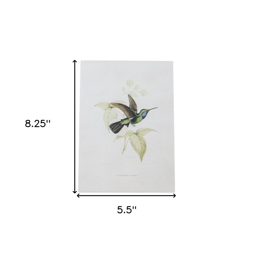 Set of Four White Hummingbird Framed Art