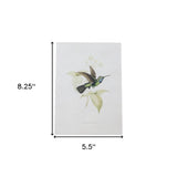 Set of Four White Hummingbird Framed Art
