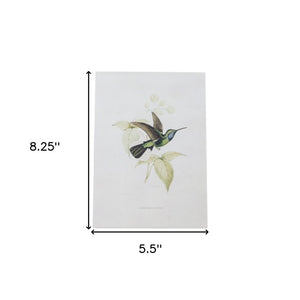 Set of Four White Hummingbird Art