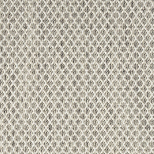 9' X 12' Ivory And Silver Indoor Outdoor Area Rug