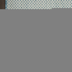 8' X 10' Aqua And Ivory Indoor Outdoor Area Rug