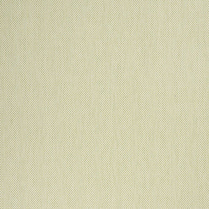 7' X 10' Green And Ivory Indoor Outdoor Area Rug